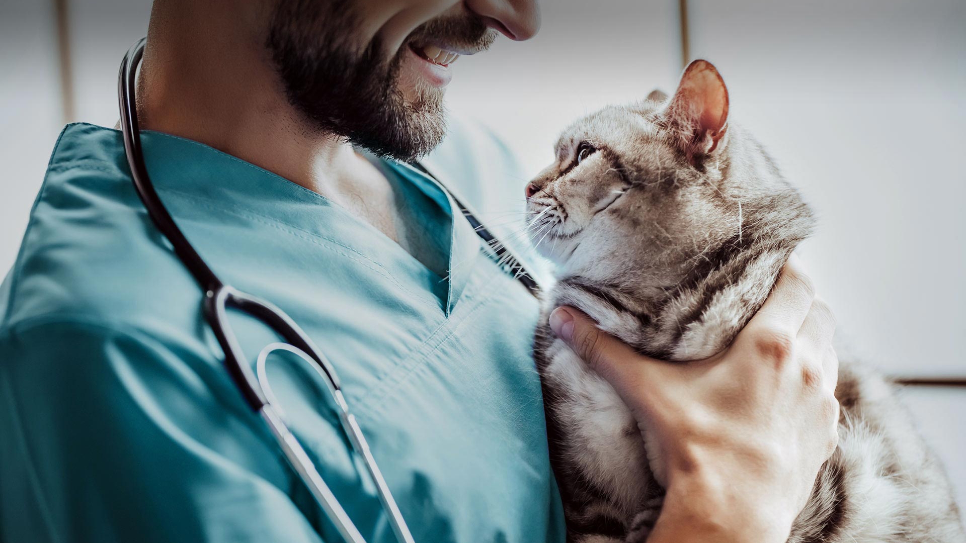 Mihalıççık Veteriner